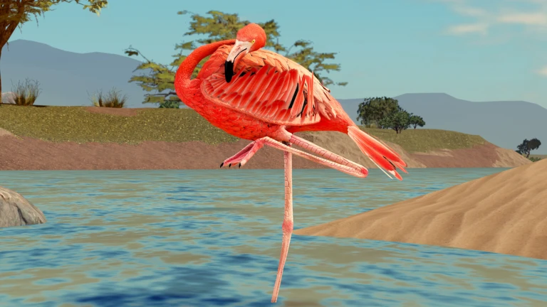 🦩💗 Flamingo!