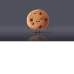 Cookie bird!