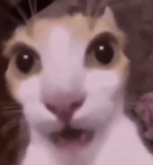 Sussy Impostor bois