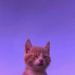 Vibing In Sadness