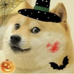 Swag Doges ;)