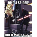 star wars fanss group