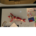 The rat elf