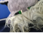 Ven a este grupo y tendrás un poco de robux :>