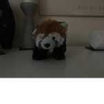 Red pandas UwU
