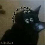 Blac-Kat Supremacy