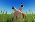 Snails Donation Fund