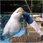 the pwnawsome group
