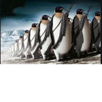 Penguin army boys