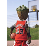 NBA PLAYERS_CZ