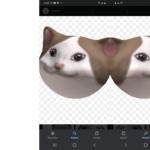 Popcats_United