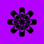 Realsoft Arts Group Thumbnail