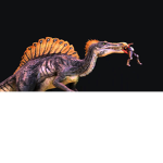 Raptors and other dinosaurs
