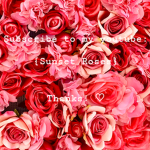 {Sunset Roses Fan Club}