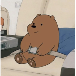 The Group Of Bears!!