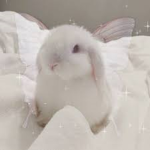 Bunny's Safe Space