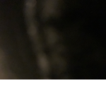 Lemon_2516