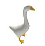 The Goose's Followers