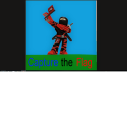 CAPTURE THE FLAG