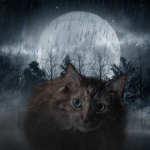 milly's litterbox