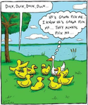 Dofi's Ducks