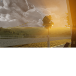 arlows' community