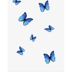 group butterflies