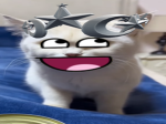 vDevinity