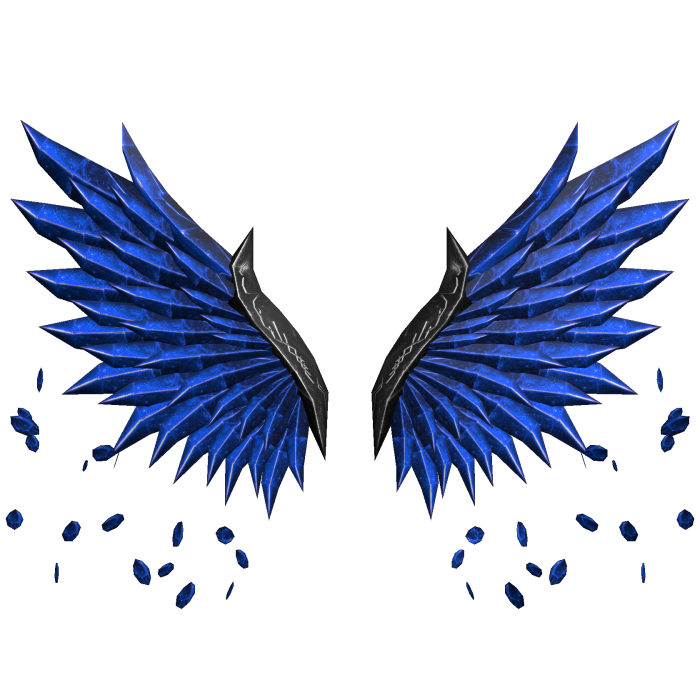 Blue and Black Wings