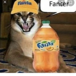 FanterGroup