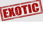 EXOTIC boy"s