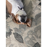 Wat you doin?