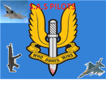 S.A.S pilots