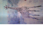 Giraffe girl squad