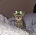 :+:Mint's Club:+: