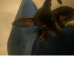 Preppy_summer:)