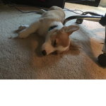 Sleepyblox
