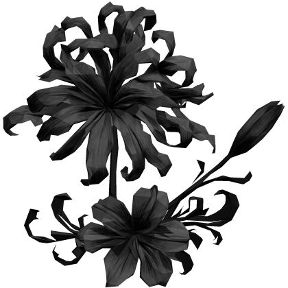 ヒガンバナ black spider lily hair flower