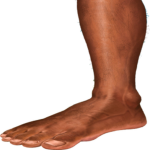 the foot mommys