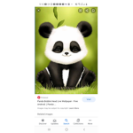 KALEIGH'S PANDAS