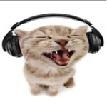 meiow