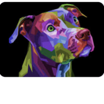 Dogdoctora