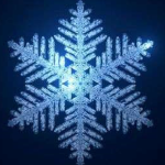 Order-Of-The-Falling-Snow