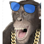 Monkey gang yahoo