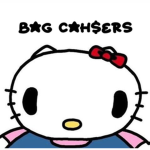 Bag cha$er