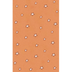 ᴄᴏᴄᴏɴᴜᴛ #####