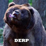 Derp Bear Studios