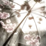 peony' Group Thumbnail