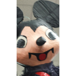 the mickey mouse clubhouse fanclub