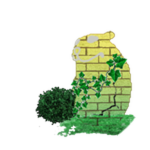 Lush Chomik